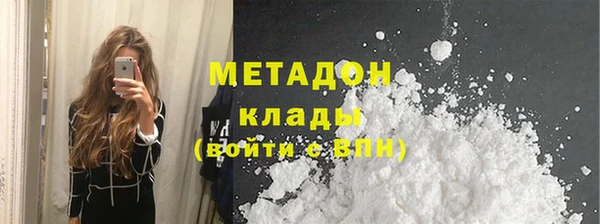 стаф Алзамай
