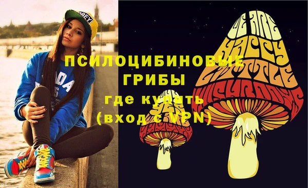 метадон Сатка