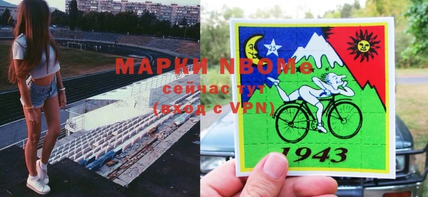 стаф Алзамай