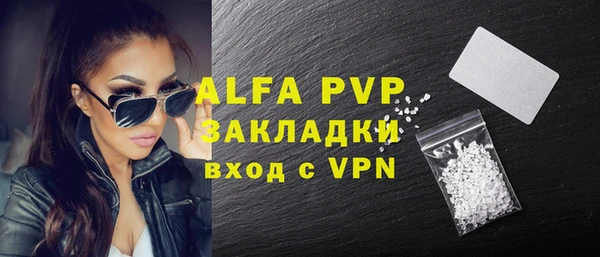 стаф Алзамай