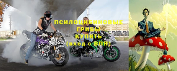 МДПВ Алексеевка