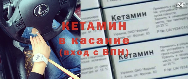 стаф Алзамай