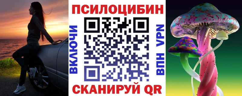 дарнет шоп  Асино  Псилоцибиновые грибы Magic Shrooms 